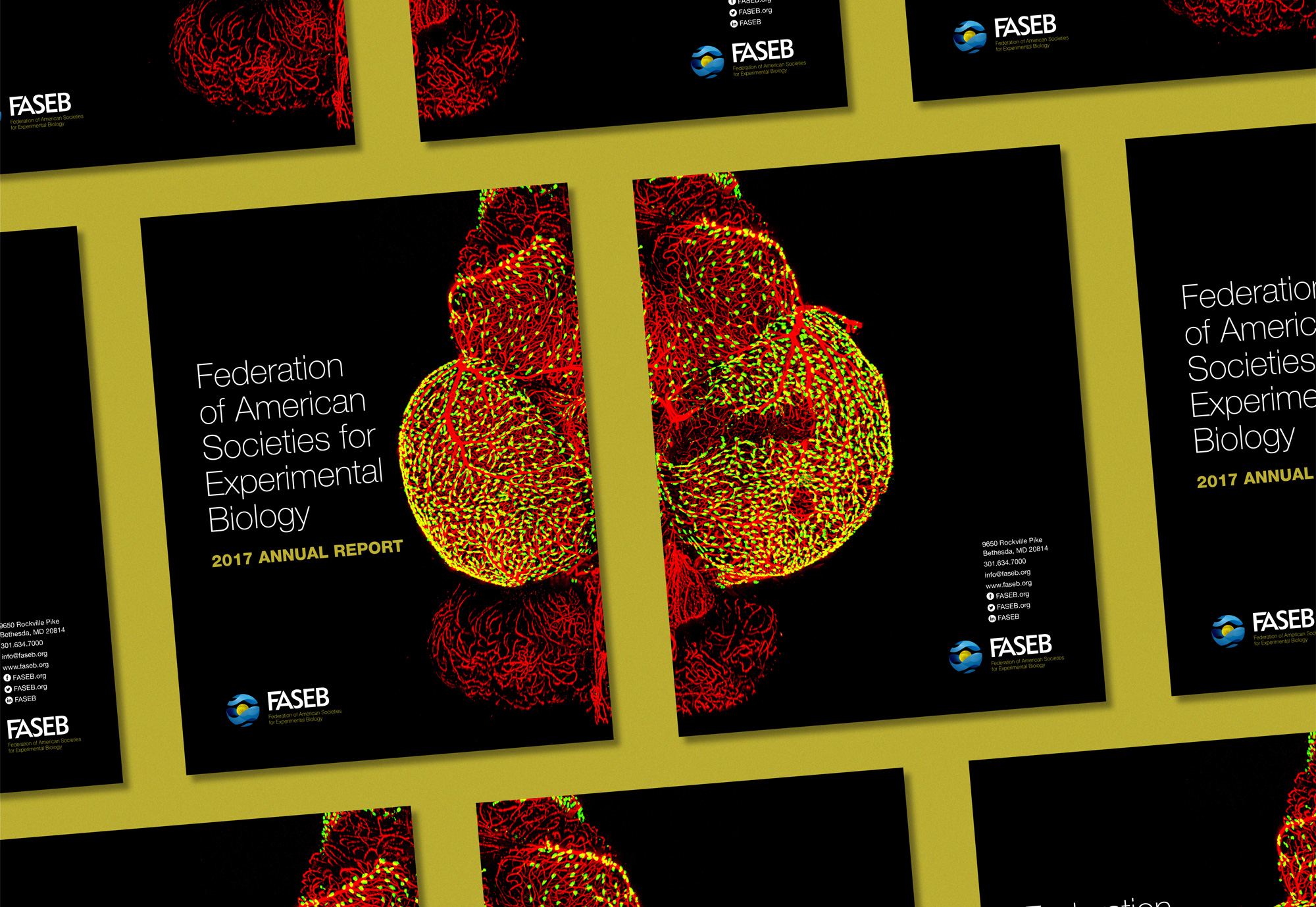 Federation of American Societies for Experimental Biology